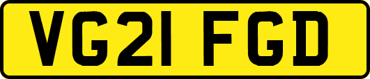 VG21FGD