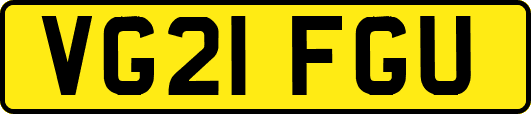 VG21FGU