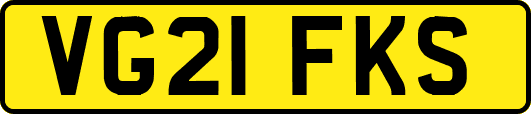 VG21FKS
