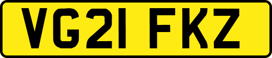 VG21FKZ