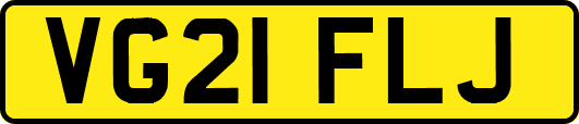 VG21FLJ