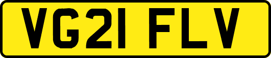 VG21FLV