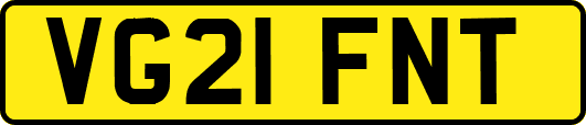 VG21FNT