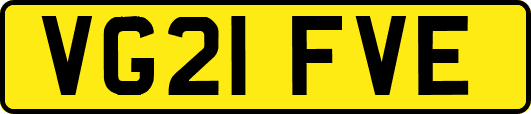 VG21FVE