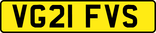 VG21FVS