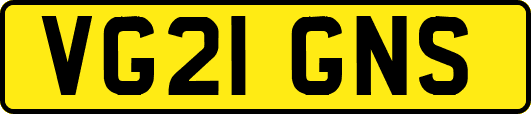 VG21GNS