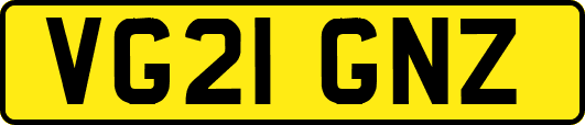 VG21GNZ
