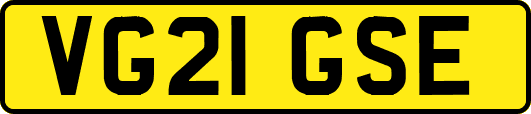 VG21GSE