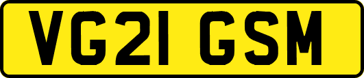 VG21GSM