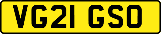 VG21GSO