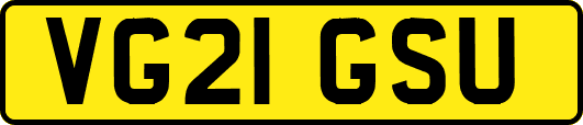 VG21GSU