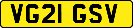 VG21GSV