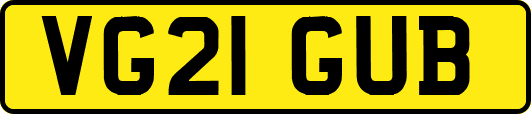 VG21GUB