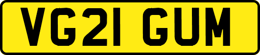 VG21GUM