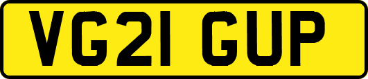 VG21GUP