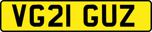 VG21GUZ