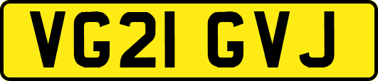VG21GVJ