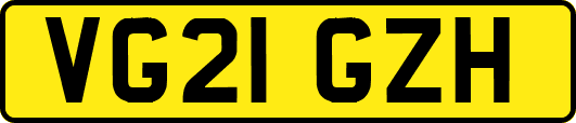 VG21GZH