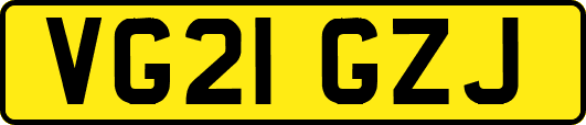 VG21GZJ