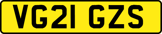 VG21GZS