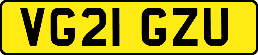 VG21GZU