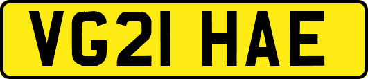 VG21HAE