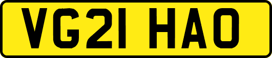 VG21HAO
