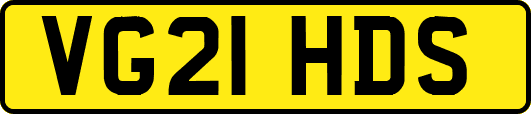 VG21HDS