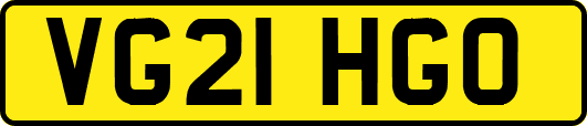 VG21HGO