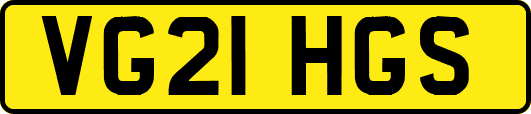 VG21HGS