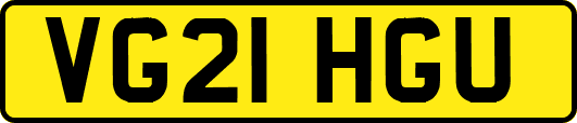 VG21HGU