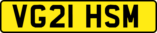 VG21HSM