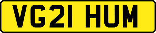 VG21HUM