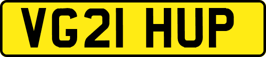 VG21HUP