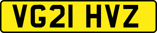 VG21HVZ