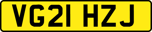 VG21HZJ