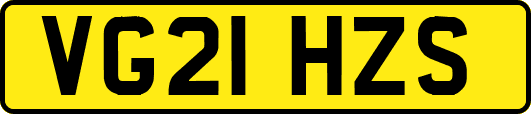 VG21HZS