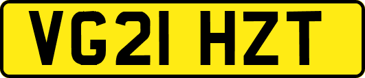 VG21HZT