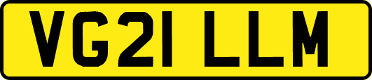 VG21LLM