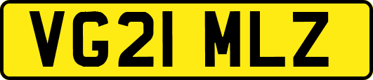 VG21MLZ