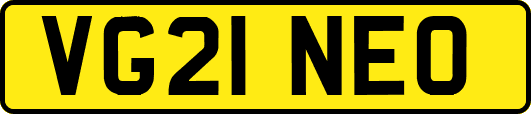 VG21NEO
