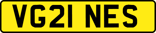 VG21NES