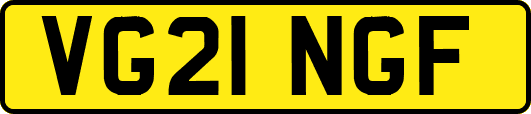 VG21NGF