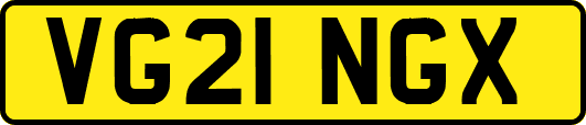 VG21NGX