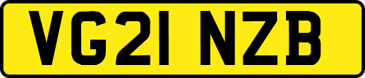 VG21NZB