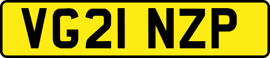 VG21NZP