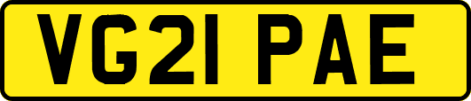 VG21PAE