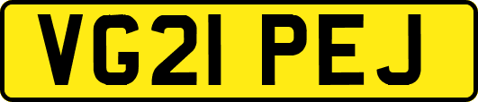 VG21PEJ