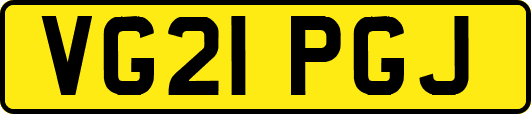 VG21PGJ