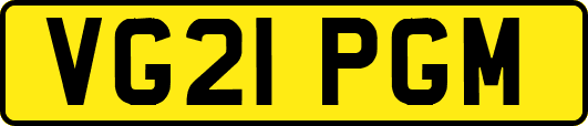 VG21PGM